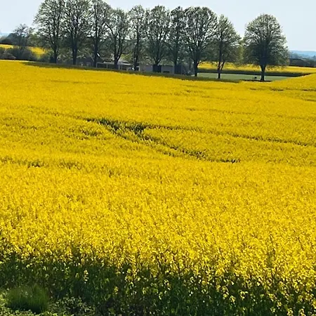 Kollund Dom wakacyjny