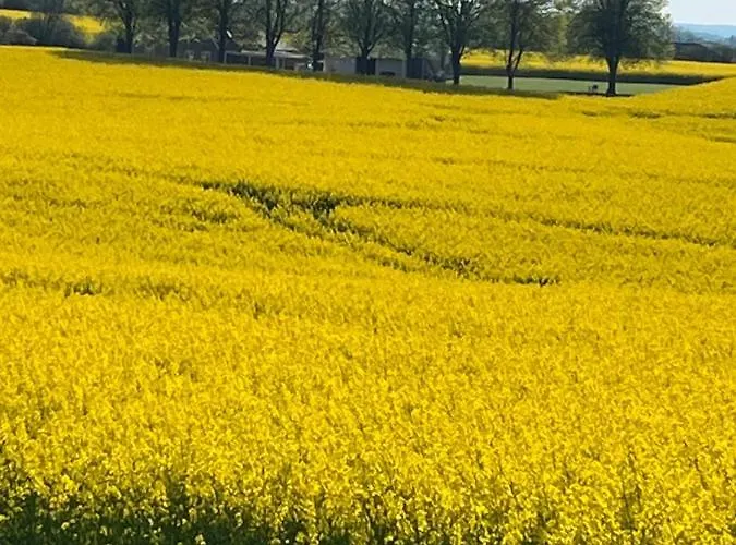 Kollund Σπίτι διακοπών